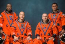 Astronautas de la misión Artemis III posan con el logotipo de la NASA