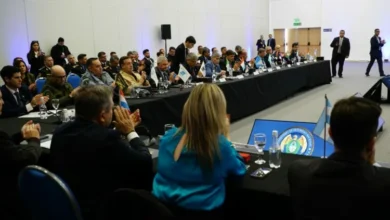 Fuerzas de seguridad en acción, lucha contra el delito interjurisdiccional