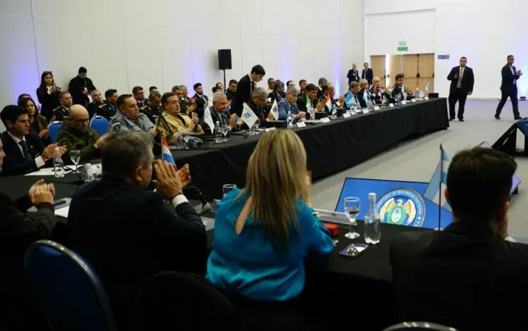 Fuerzas de seguridad en acción, lucha contra el delito interjurisdiccional