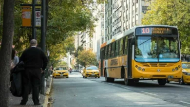 Autobuses urbanos en la ciudad de Córdoba