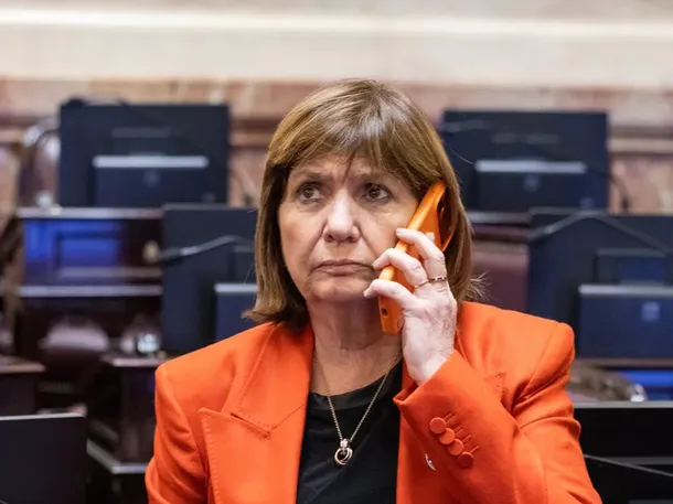 Patricia Bullrich celebrando con la camiseta argentina