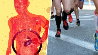 La ciencia del dopaje fecal: ¿puede mejorar la resistencia física?
