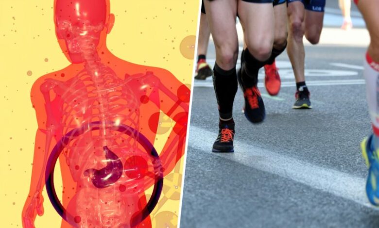 La ciencia del dopaje fecal: ¿puede mejorar la resistencia física?