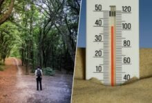 Persona sudando debido al calor extremo