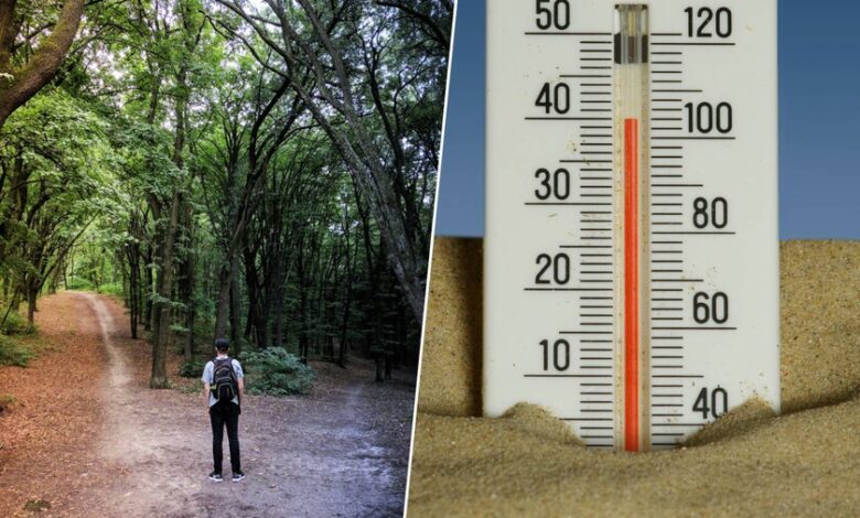 Persona sudando debido al calor extremo