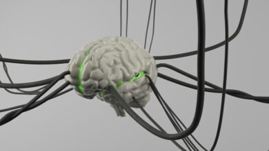 Ilustración de un cerebro con un suspiro, simbolizando el lenguaje universal del cerebro.