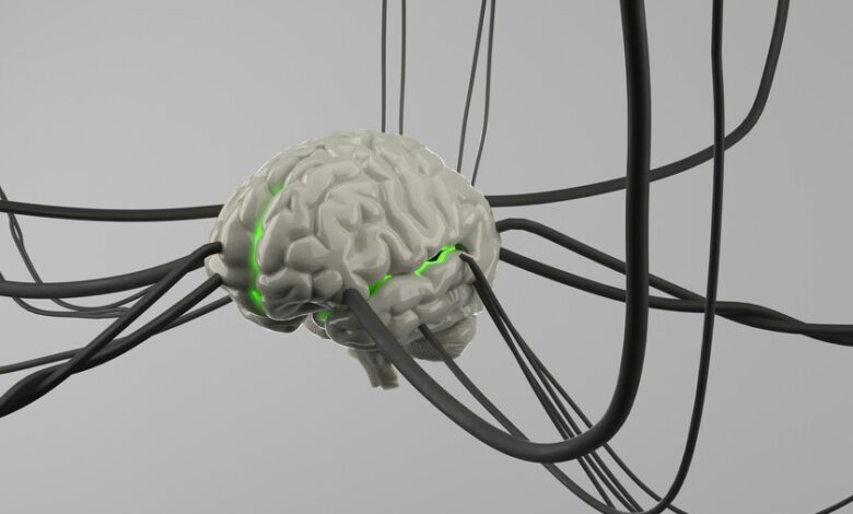 Ilustración de un cerebro con un suspiro, simbolizando el lenguaje universal del cerebro.