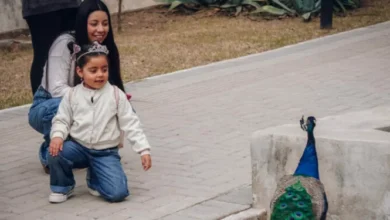 Imagen del Parque de la Biodiversidad en Córdoba