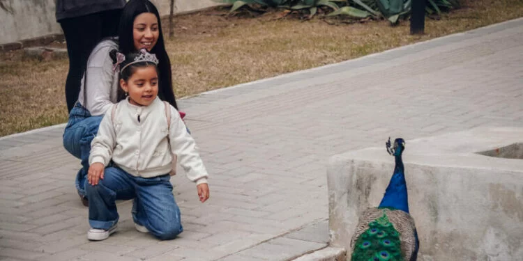 Imagen del Parque de la Biodiversidad en Córdoba