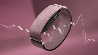 Pulsera inteligente Garmin Cirqa