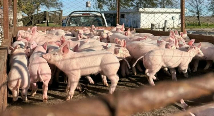Imagen de la Estación Experimental Agropecuaria (EEA) Marcos Juárez, INTA Córdoba