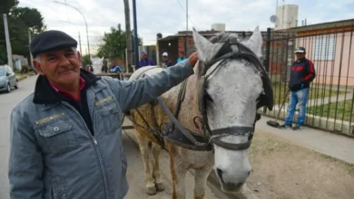 Imagen de un carrero en Córdoba, Argentina, con su carro y caballo, simbolizando su lucha diaria
