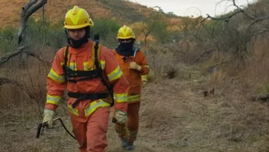 Incendios forestales en Córdoba: un problema que requiere acción inmediata