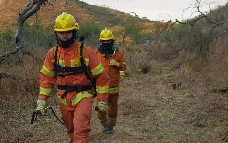 Incendios forestales en Córdoba: un problema que requiere acción inmediata