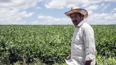 Tierras rurales en Paraguay, un tema de debate