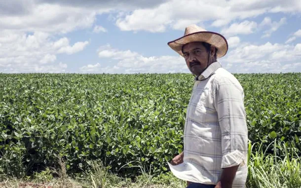 Tierras rurales en Paraguay, un tema de debate