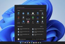 Renovada experiencia de búsqueda en Windows 11