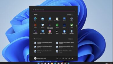 Renovada experiencia de búsqueda en Windows 11