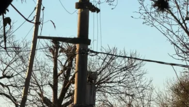 Vecinos de Parque San Antonio en la oscuridad debido al apagón