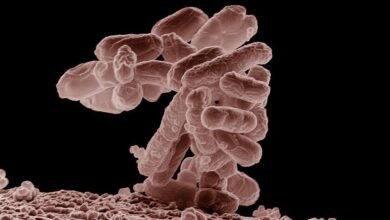 Investigadores trabajando en la creación de virus mediante la IA