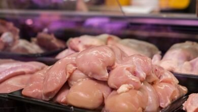 Imagen de un pollo amarillo y un pollo blanco lado a lado