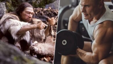 Imágenes de neandertales y humanos sapiens