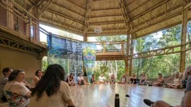 Participantes de la residencia transdisciplinaria en un espacio al aire libre, rodeados de naturaleza