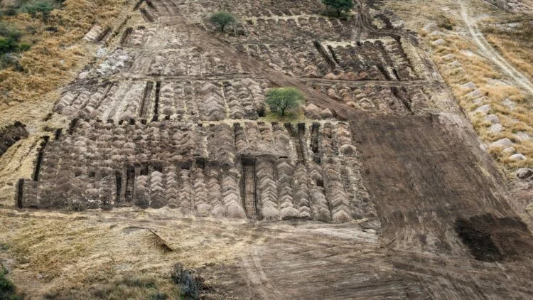 Muestras de ADN recogidas en la Guarnición Militar La Calera, Córdoba