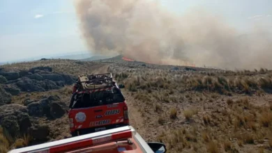 Aviones hidrantes combaten incendio forestal en Villa de Soto