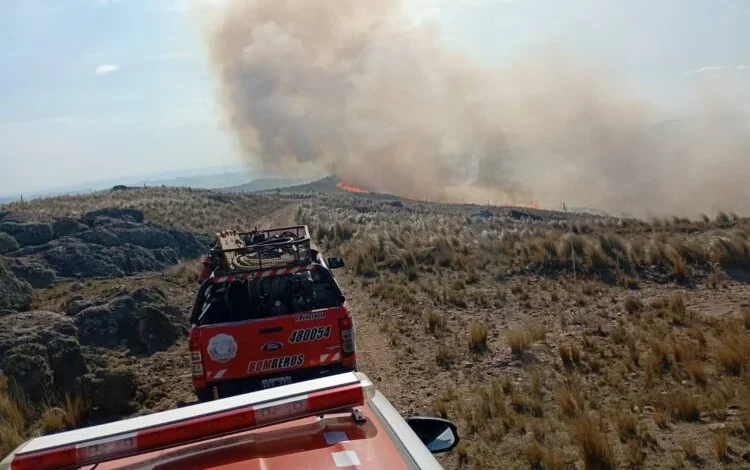 Aviones hidrantes combaten incendio forestal en Villa de Soto