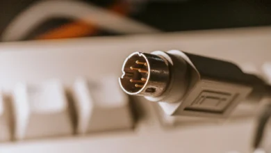 PS/2, un conector morado y redondo con una gran capacidad de precisión y velocidad
