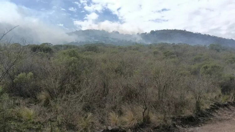 Bomberos y helicóptero trabajando contra incendio forestal en Rumi, La Calera