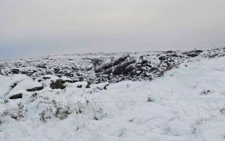 Tramo nevado del Camino de las Altas Cumbres en la RP 34 bajo niebla