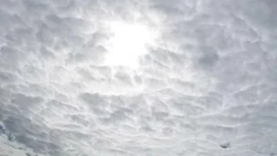 Cielo parcialmente nublado y sol en Córdoba el 14 de septiembre