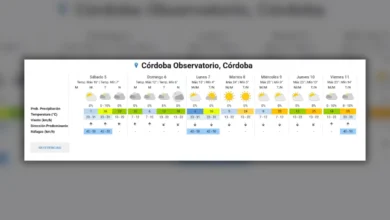 Mapa del pronóstico del Servicio Meteorológico Nacional que muestra frío polar y posible aguanieve en Córdoba