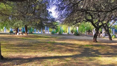 Observadores con binoculares identificando aves autóctonas en el Parque de la Vida, Córdoba