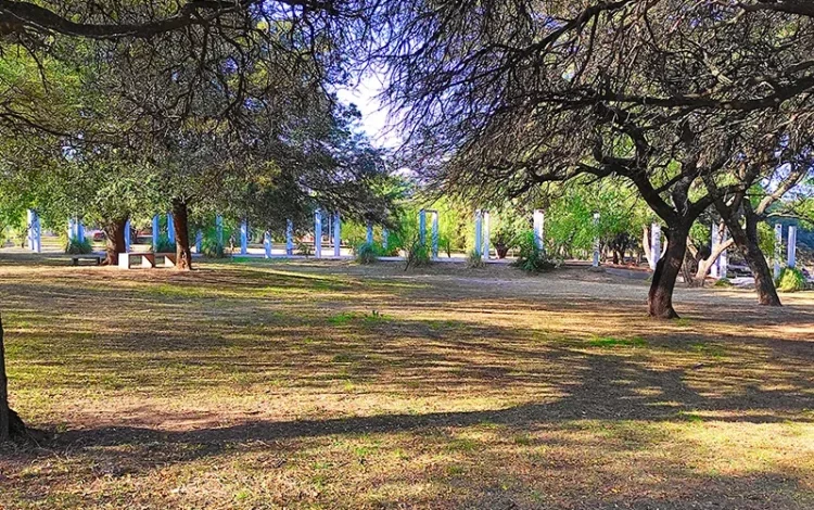 Observadores con binoculares identificando aves autóctonas en el Parque de la Vida, Córdoba