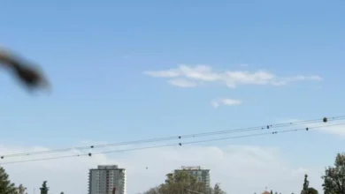 Cielo nublado sobre Córdoba con granizo y vientos fuertes durante la tormenta nocturna