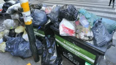 Camiones de recolección de basura en una calle del centro de Córdoba